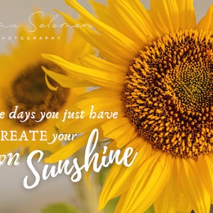 Anniversaire de tournesols, mariage, cartes de vœux, citation positive | | de photographie Emma Solomon Photographie