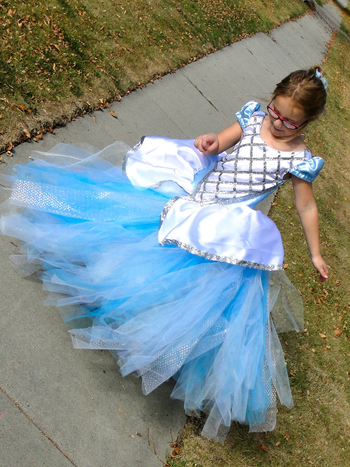 cinderella tutu set