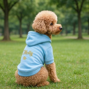 Personalized Dog Hoodie, Custom Pet Name Embroidered Sweatshirt, Gift for Pet Lovers