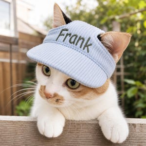 Peut inclure: Une visière en velours côtelé bleu clair avec le nom Frank brodé en fil vert foncé sur le devant. La visière est placée sur la tête d'un chat blanc et orange, présentant une surface en tissu texturé et un design à bord incurvé.