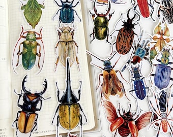 Insect Stickers, Beetle, Spider, Scrapbook Planner Decoration (38 pieces)