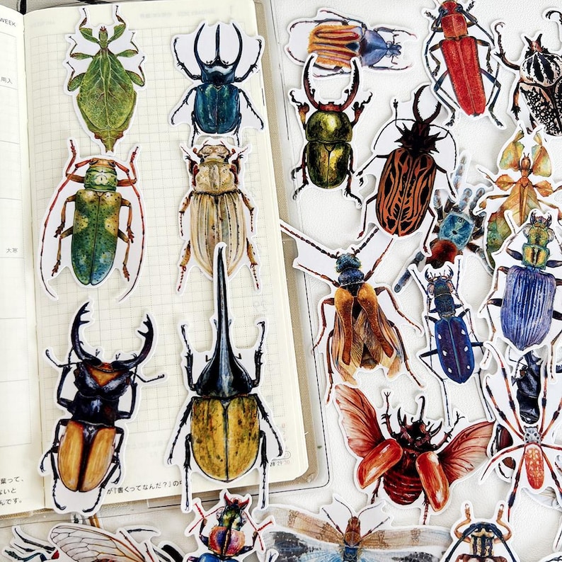 Insectoutline Stickers Insect Stickers, Beetle, Spider, Scrapbook Planner Decoration (38 ...