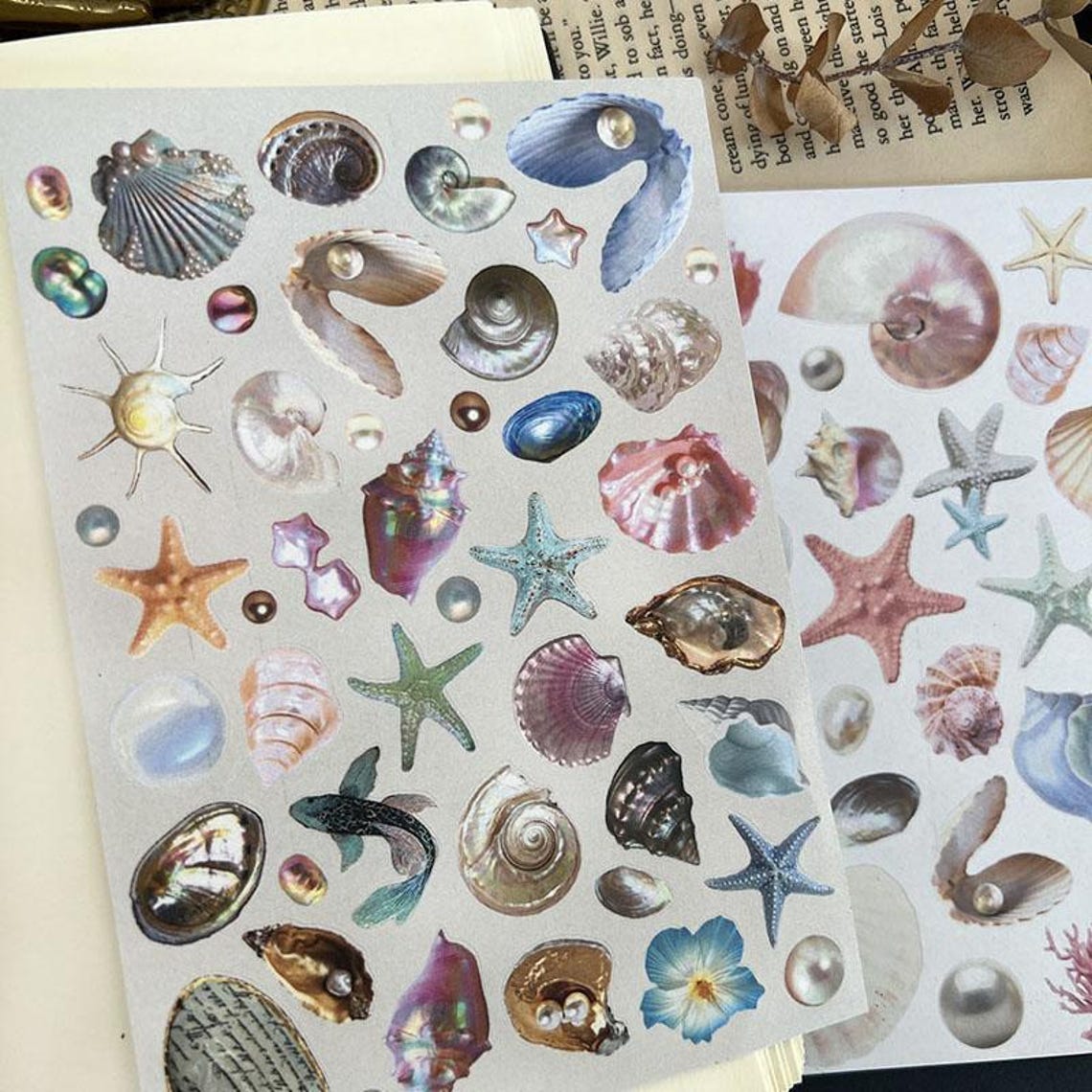 Shell Effect Sticker Dreamy Ocean Stickers – Iridescent Shells, Pearls & Starfish for ...