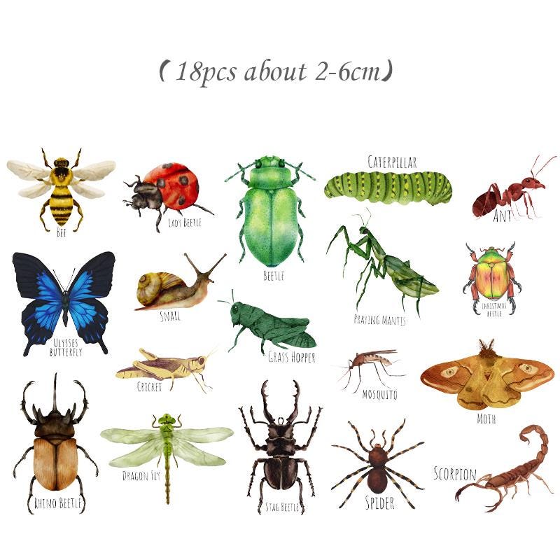 Insect Sticker Chart Insect Stickers, Beetle, Spider, Scrapbook Planner Decoration (38 ...