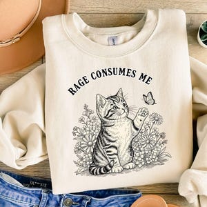 Rage Consumes Me Cat Meme Shirt, Comfort Colors Style (PNG SVG)