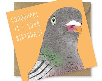 Pigeon Birthday Card - Etsy UK
