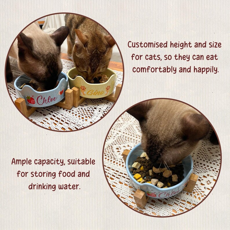 May include: Cat food bowls in light blue and yellow with wooden stands. The bowls have the names "Chloe" and "Gino" on them, along with strawberry and flower designs. The text says "Customised height and size for cats, so they can eat comfortably and happily."