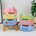 Personalized Pet Bowl: Ceramic Food Dish with Ears, Custom Name & Design product logo