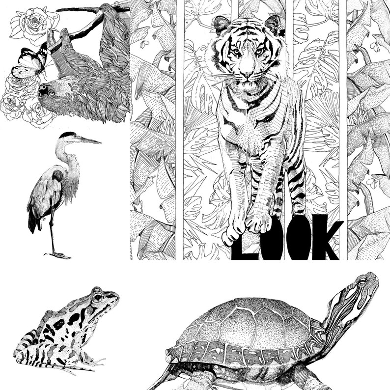 Coloring pages Land Animals: Instant Download | Etsy