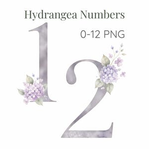 May include: Watercolor numbers 1 and 2 with hydrangea floral accents. The numbers are a soft gray with a watercolor effect. The floral accents are lavender and green. Text at the top reads "Hydrangea Numbers 0-12 PNG".