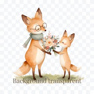 May include: Watercolor illustration of two foxes. One fox, wearing glasses and a scarf, holds a bouquet of flowers. The other fox is sniffing the flowers. The text "Background transparent" is at the bottom.