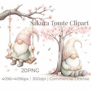 May include: A watercolour illustration featuring two gnomes beneath a cherry blossom tree. One gnome is on a swing, the other is seated. The image includes the text "Sakura Tomte Clipart".