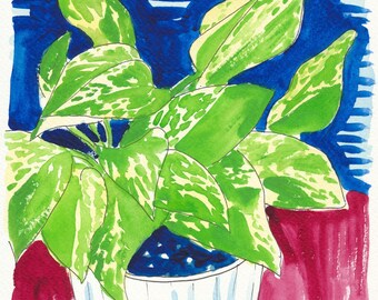 May include: A watercolor painting of a green and white potted plant with blue and white stripes on the pot. The plant is against a blue and white striped background and a red background.