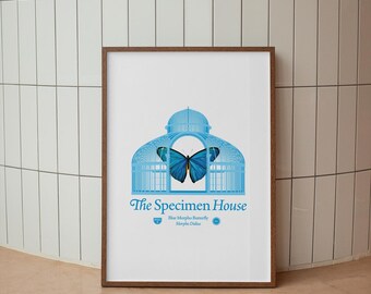Stampa artistica di farfalla Blue Morpho, illustrazione vintage – Edizione da collezione / Litografia di storia naturale (senza cornice) Arte murale botanica naturalistica