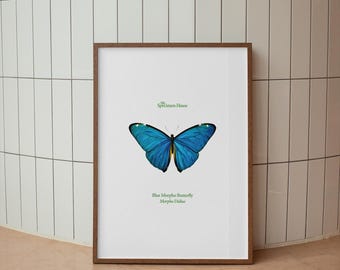 Stampa artistica di farfalla Blue Morpho, illustrazione d'epoca - Edizione d'archivio / Litografia di storia naturale (senza cornice) Arte murale botanica naturalistica