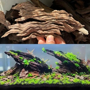 Aquarium driftwood terrarium wood pieces aquascape plants landscape real fish tank decorations
