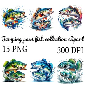 Watercolor Bass Fish Clipart: Funny Fishing PNG Bundle (Digital Download)