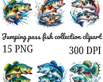 Clipart di pesci persici che saltano ad acquerello: 15 disegni PNG (download digitale)