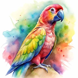 Clipart de loro arcoíris en acuarela: ave de la selva tropical PNG