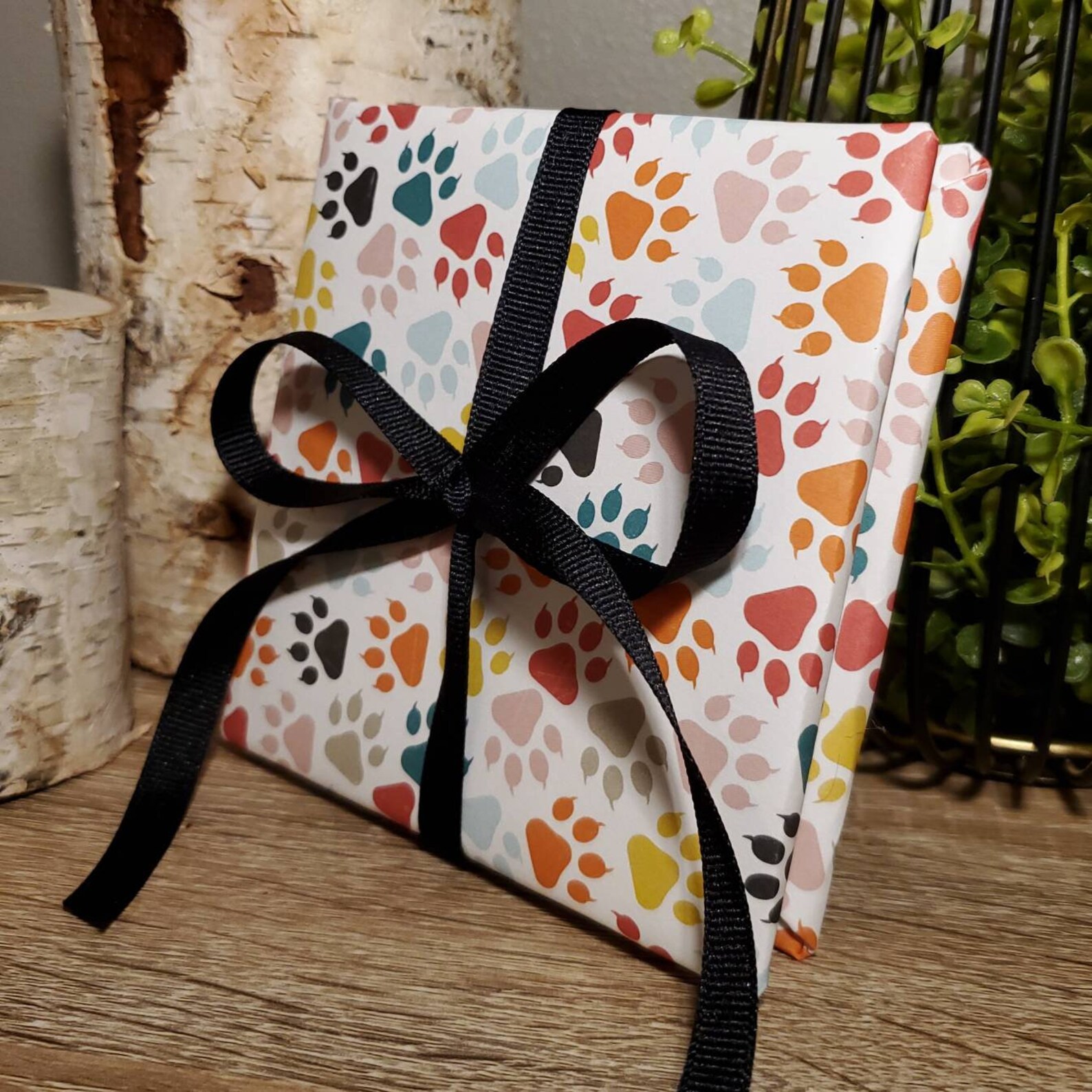 Cat Photo Album Kitten Scrapbook Album Animal Portrait Etsy