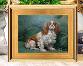 Spaniel Dog Oil Painting Print on Canvas