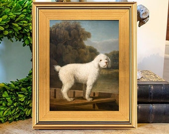 Poodle Dog Oil Painting Print on Canvas, George Stubbs