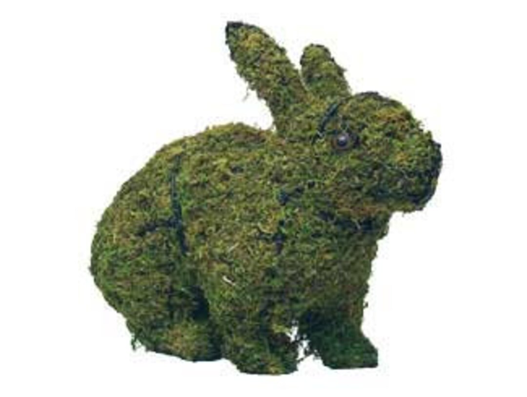 FAB Hopping Rabbit Topiary, Moss Topiary, Bunny - Etsy