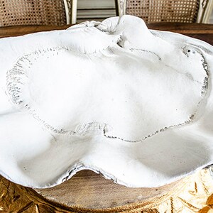 Large Faux Clam Shell: Plaster Display Piece (22.5