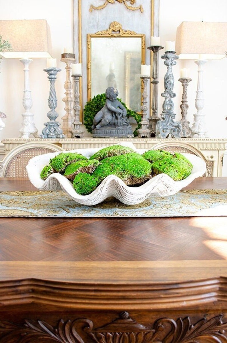 Large Faux Clam Shell: Plaster Display Piece (22.5