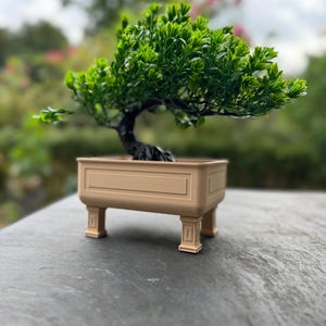 Könnte beinhalten: Ein Miniatur-Bonsai-Baum mit leuchtend grünen Blättern und einem dunklen Stamm. Der Baum steht in einem rechteckigen, beigefarbenen Pflanzgefäß mit dekorativen Beinen. Der Hintergrund ist unscharf, was auf eine Umgebung im Freien hindeutet.