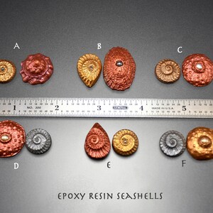 Handmade Epoxy Resin Seashell Cabochons image 2