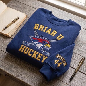 Pull ras du cou brodé briar U Hockey, sweat-shirt inspiré d'un modèle extra-campus, pochette avec nom personnalisé, numéro Graham 44, Logan 22, sweat Di Laurentis