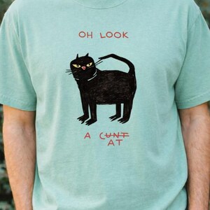 Pu&ograve; includere: Maglietta verde acqua con un'illustrazione di un gatto nero con occhi gialli e un collare bianco. Il testo "OH LOOK" &egrave; sopra il gatto, e "A CUNT AT" sotto, tutto in rosso.