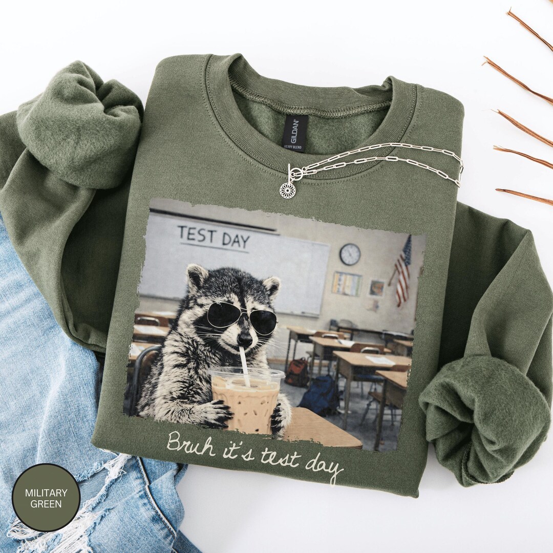 Test Day Raccoon Sweatshirt, Funny Teacher Exam Gift, Motivational ...