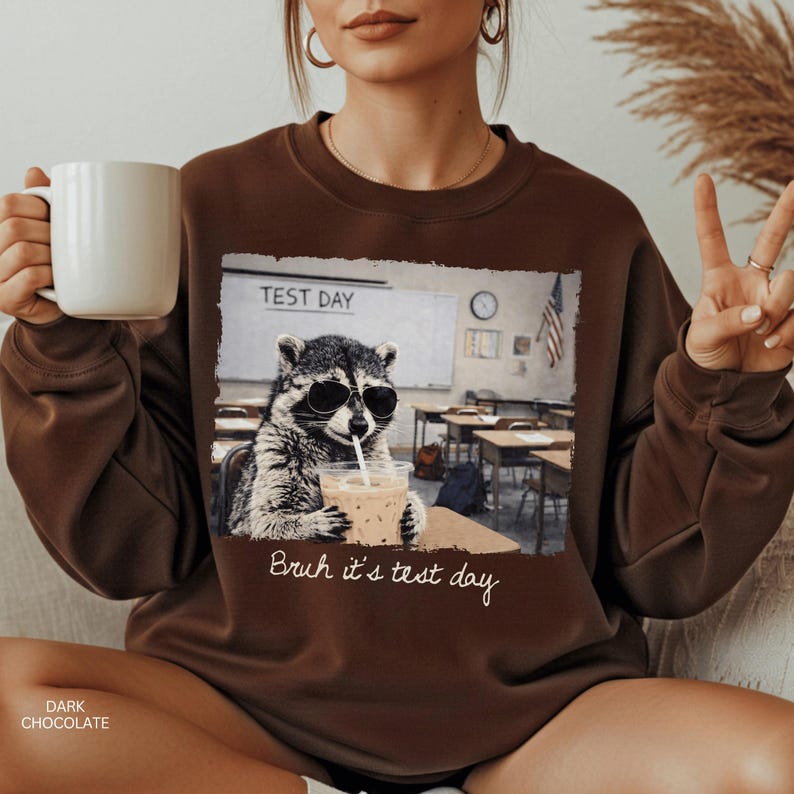 Test Day Raccoon Sweatshirt, Funny Teacher Exam Gift, Motivational ...