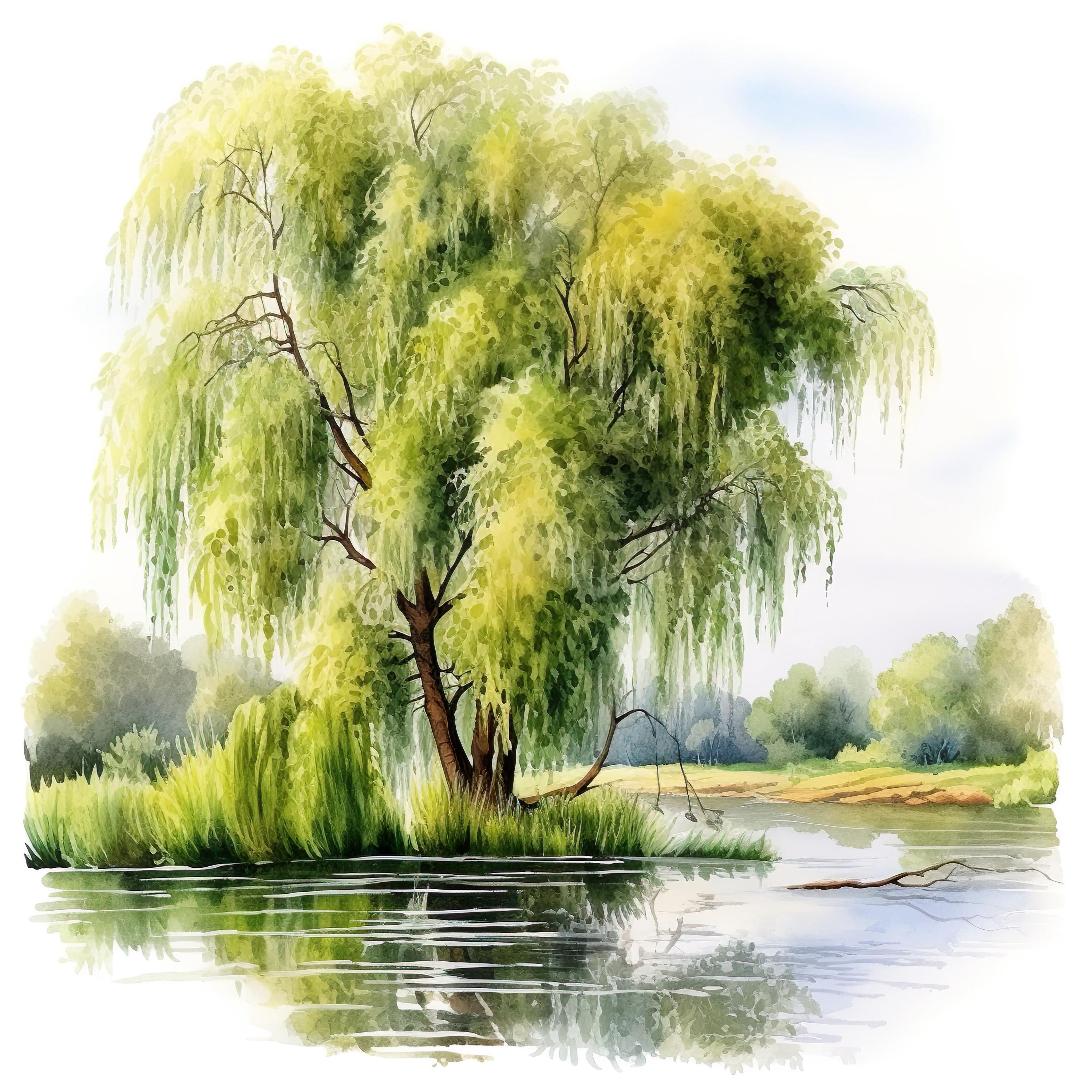 Willow Tree Riverside Wall Art Bundle Printable | Nature Landscape ...