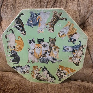 May include: An octagonal, light green decorative tray featuring a collection of various cat illustrations. The cats are depicted in different poses and colors, including tabby, calico, and black and white. The tray is likely made of a durable material.
