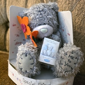 May include: A grey plush bear with a blue nose, holding an orange felt flower. The bear sits in a white cardboard display box labeled Special Friend and Me to You. A small tag attached to the bear reads A Grey Bear With a Blue Nose? The Story of Me to You.
