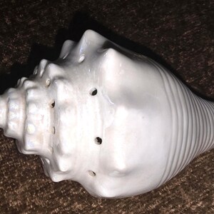 May include: A white conch shell with a spiral design and several small holes. The shell has a smooth, glossy finish and is resting on a brown surface. This decorative item is a unique addition to any coastal-themed decor.