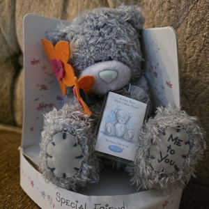 Könnte beinhalten: Ein grauer Plüschbär mit blauer Nase, der eine Blume und ein kleines Buch hält. Der Bär befindet sich in einer dekorativen Box mit dem Aufdruck "Special Friend" und "Me to You".