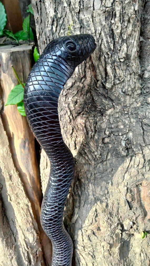 Black Tree Python
