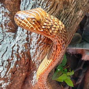 May include: A handcrafted wooden snake sculpture with intricate details. The snake's head is raised, showcasing a detailed pattern of scales and cross-hatching. The body curves gracefully, with a blend of brown and tan hues, and is set against a tree trunk.