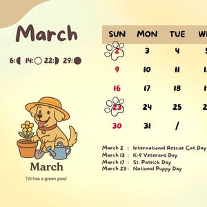 The Adventures of Titi – 2025 Calendar/ Planner