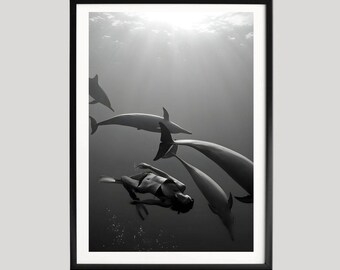 Poster vrouw gratis duiken met dolfijnen, zwart-wit onderwaterfotografie met dolfijnen, oceaan wildlife kunstprint