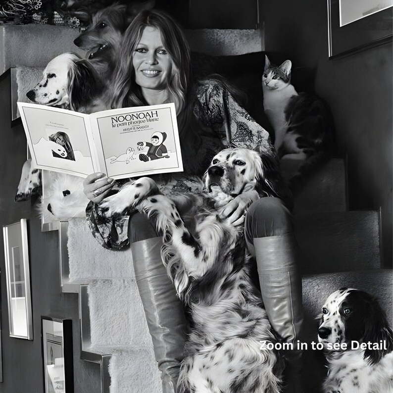 Puede incluir: Fotograf&iacute;a en blanco y negro de una mujer sentada en unas escaleras, rodeada de perros y un gato. Sostiene un libro titulado "NOONOAH le petit phoque blanc" con ilustraciones. La mujer sonr&iacute;e y las mascotas parecen relajadas.