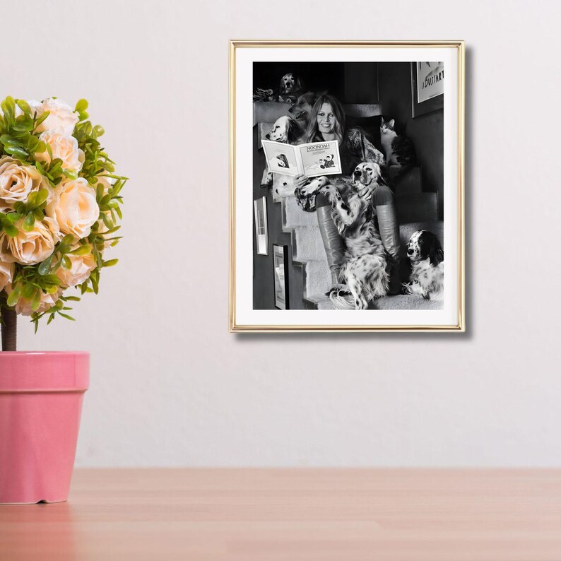 Puede incluir: Fotograf&iacute;a en blanco y negro enmarcada de una mujer leyendo un libro titulado "MOON DOG" a varios perros. La mujer est&aacute; sentada en una escalera, rodeada de perros de varias razas. La fotograf&iacute;a est&aacute; en un marco dorado.