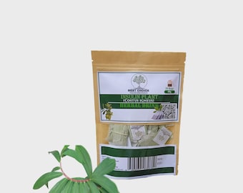 Insulina Plant Organic Herbal drink ( Costus Igneus ) Thebu 20 tea bags