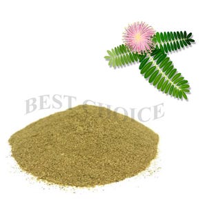 Dried Mimosa Pudica Sensitive Plant Root,Leaves,Flowers Powder Organic Herbal