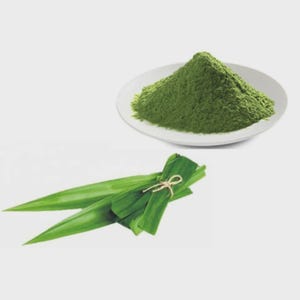May include: A white plate holds a mound of bright green powder. Below, several long, green pandan leaves are tied together with twine. The background is a plain, light gray.