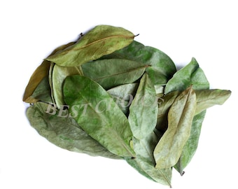 Soursop Leaves Dried - Handpicked Graviola Leaf - Organic Guanabana